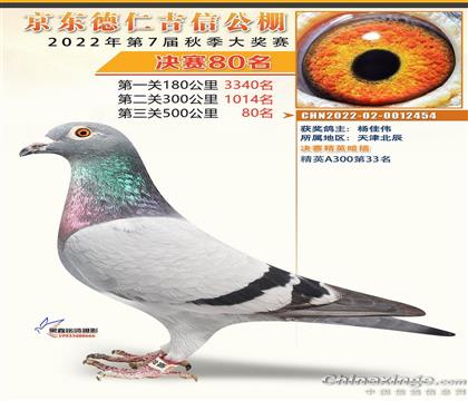 �������80�����������ִƣ�