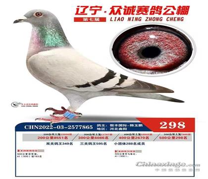 �����ڳϹ������298���������ִƣ�