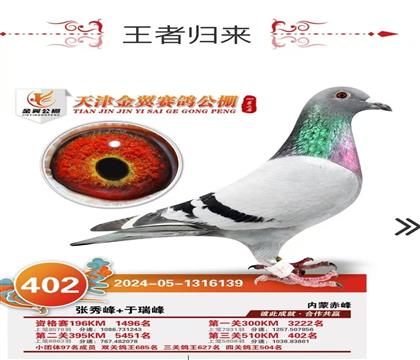 �������������402��