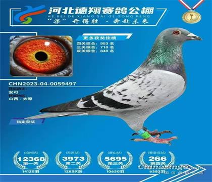 ���蹫�����266��