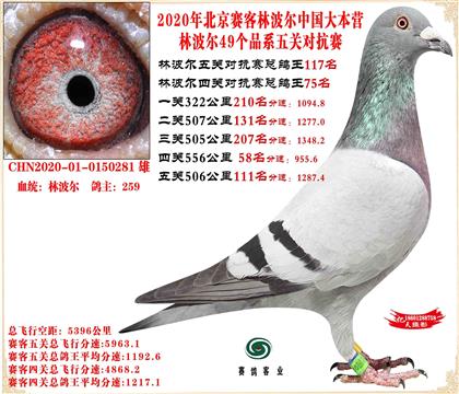 20�ֲ������׻�Ѫ���117���Ӵ�23�����ܸ���162��