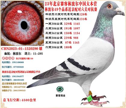 23�ֲ����й���Ӫ���׻�Ѫ���ظ���128�������ܸ���115