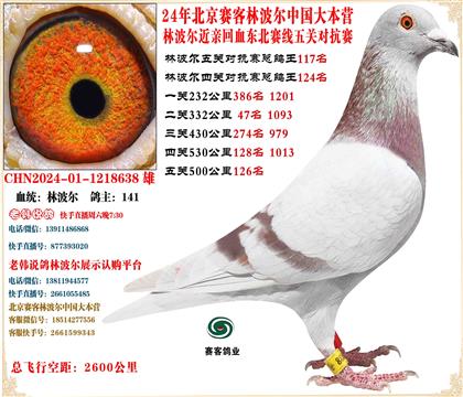 24�ֲ����й���Ӫ���׻�Ѫ������������ܸ���117��