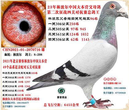 21�ֲ������׻�Ѫ���γ����ĹضԿ���8�η�500���