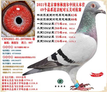 21�ֲ����й���Ӫ���׻�Ѫ����ܸ���82��������156��