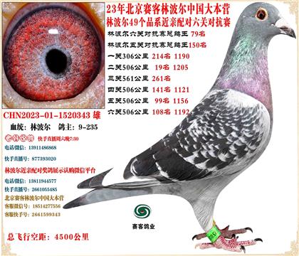 23�ֲ����й���Ӫ���׻�Ѫ���ظ���79��