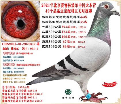 21�ֲ����й���Ӫ���׻�Ѫ��ظ���44��ƽ��16�Ǿ�