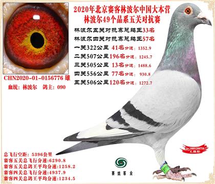 20�ֲ����й���Ӫ���׻�Ѫ��ظ���33����21����5��