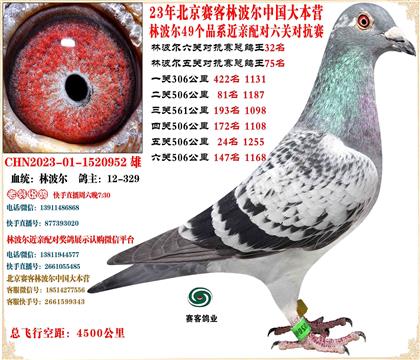 20�ֲ���������ظ���6����23����76������24����71��