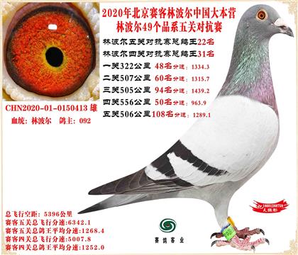 20�ֲ����й���Ӫ���׻�Ѫ��ظ���22����24����42��