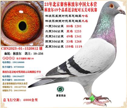 23�ֲ����й���Ӫ���׻�Ѫ�Ĺظ���9����ظ���7��