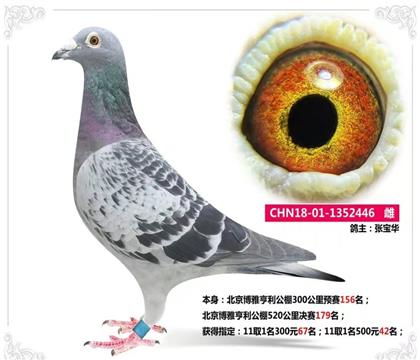 �������179��