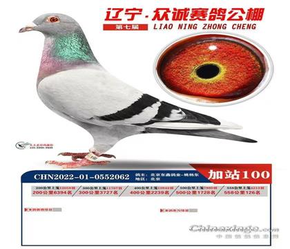 ���������Ҷ��θ�ҵ-Ҧ�