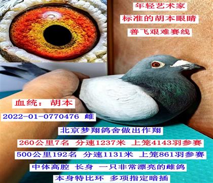 7��������