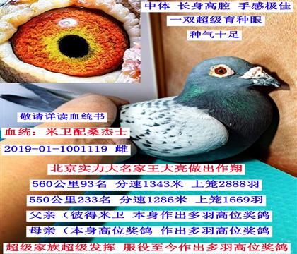 �����������������������ִƣ�