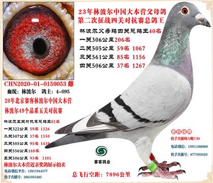 20�ֲ����������γ�����ظ���20����81����23����40��