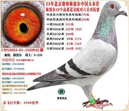 23�ֲ����й���Ӫ���׻�Ѫ���ظ���179��ƽ��20����6��