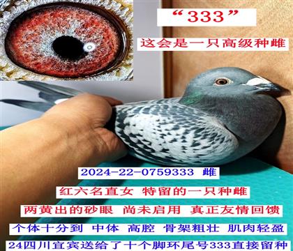 ������ֱŮ