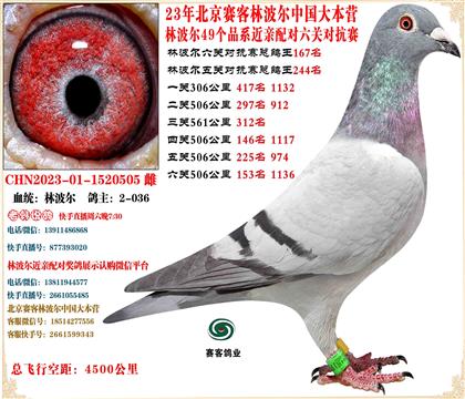 23�ֲ������ظ���167������������漣858�߱���ֱ��Ů