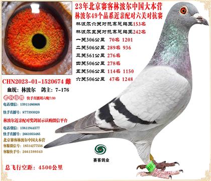 23�ֲ����й���Ӫ���׻�Ѫ���ظ���153��ֶŮ24����19