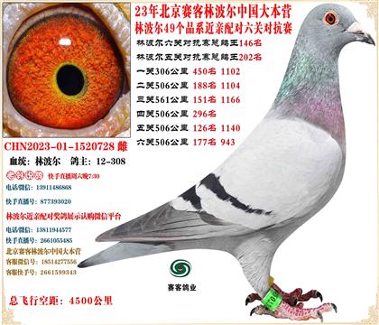 23�ֲ����й���Ӫ���׻�Ѫ���ظ���146����24����44��