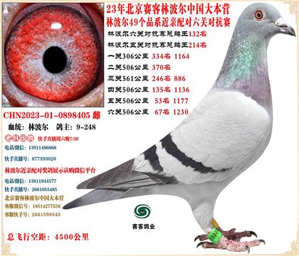 23�ֲ����й���Ӫ���׻�Ѫ���ظ���132����24����13��