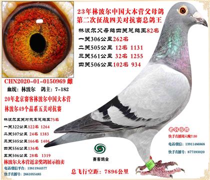 ����Ե��֧Ԯһ��ͬ�漣NL-01-1822766һ����ΰ���