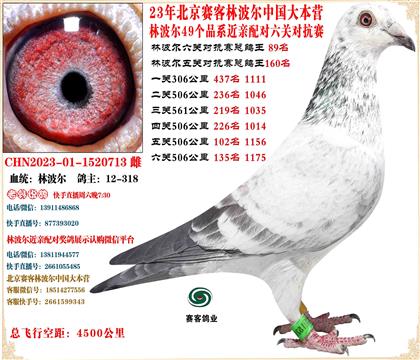 23�ֲ����й���Ӫ���׻�Ѫ���ظ���89��