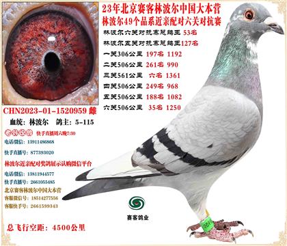 23�ֲ����й���Ӫ�������ظ���53������25����9��22��