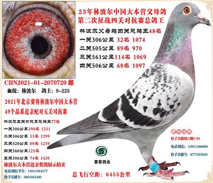 21�ֲ����й���Ӫ���׻�Ѫ�Ĺظ���48��