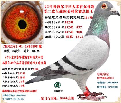 22�ֲ����й���Ӫ���׻�Ѫ�Ĺظ���28��ƽ���񽱶���