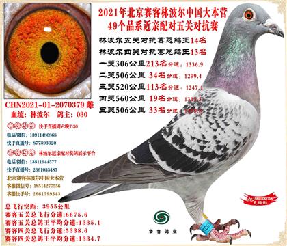 21�ֲ���������ظ���14����22����15������25���ܵ��