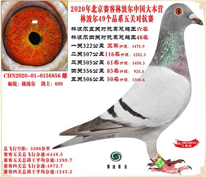 20�ֲ���������ظ���6����23����76������24����71��