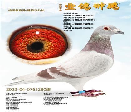 ������ֱ��/���ض�����