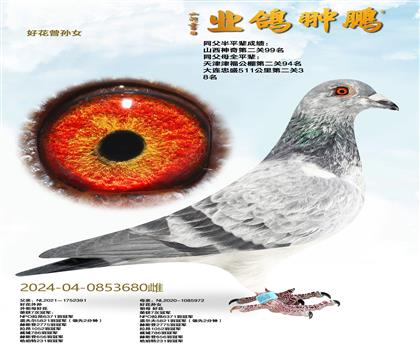 �û�����Ů