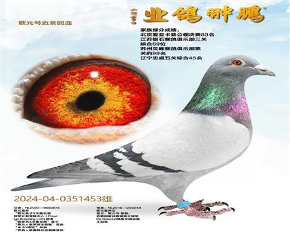 ŷԪ�Ž��׻�Ѫ