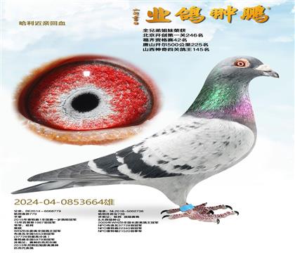 �������׻�Ѫ