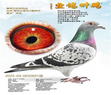 ���ض����׻�Ѫ