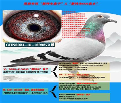 迪克 范登布克“基特尔”直子X“基特尔006”直女