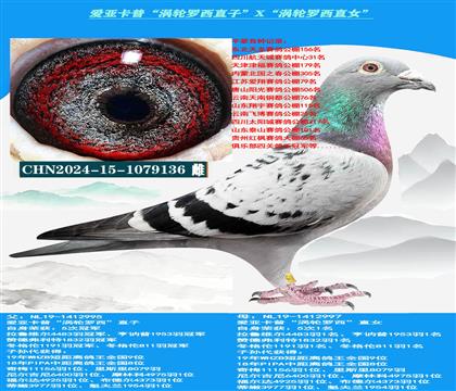 (重点推荐)爱亚卡普“涡轮罗西直子”X“涡轮罗西直女”