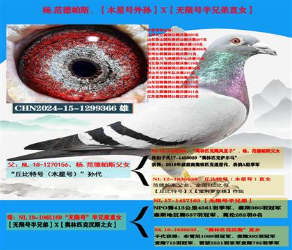 范德帕斯“丘比特号外孙”X“无限号半兄弟直女”