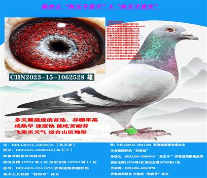 (山区地形 吃苦耐劳)“灰王子”直子X“灰王子”直女