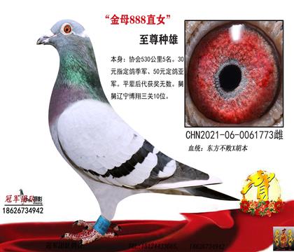 5名(金母888直女)