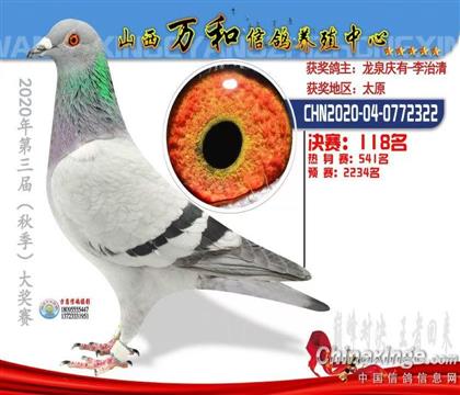 80公里31、热身赛541、决赛118名