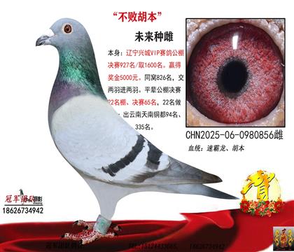 公棚交二进二赢奖5000米