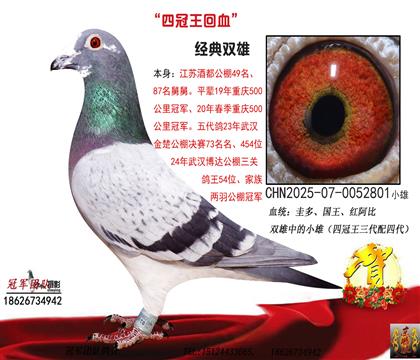 第一种雄四冠王回血