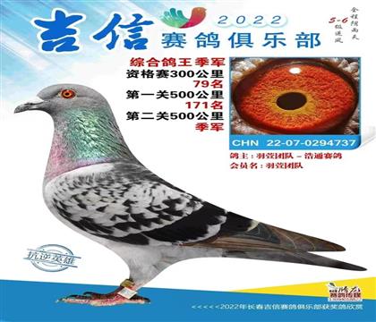 吉信决赛季军、鸽王季军、