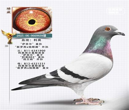 ���£����ƶ�ֱ��x���������۴�ֱŮ