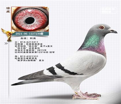 ���£��������x���������۴�ֱŮ