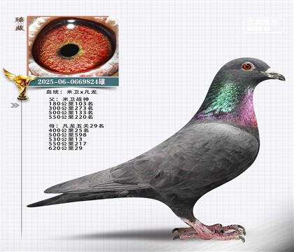 ��������ս��š�ֱ��